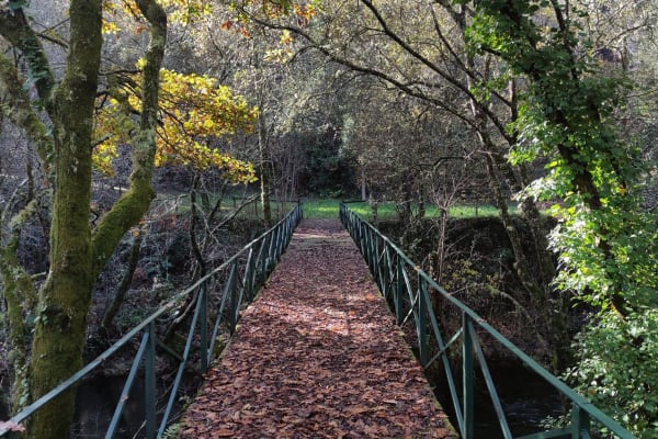 Foto 21 da atividade Galeria de Fotos