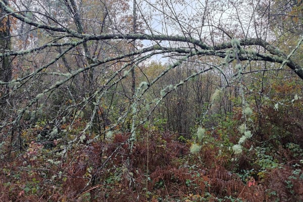 Foto 16 da atividade Galeria de Fotos