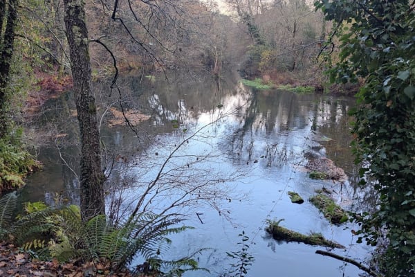 Foto 10 da atividade Galeria de Fotos