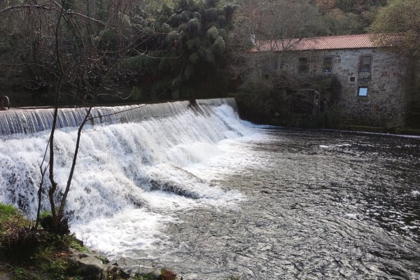 Foto 8 da atividade Galeria de Fotos