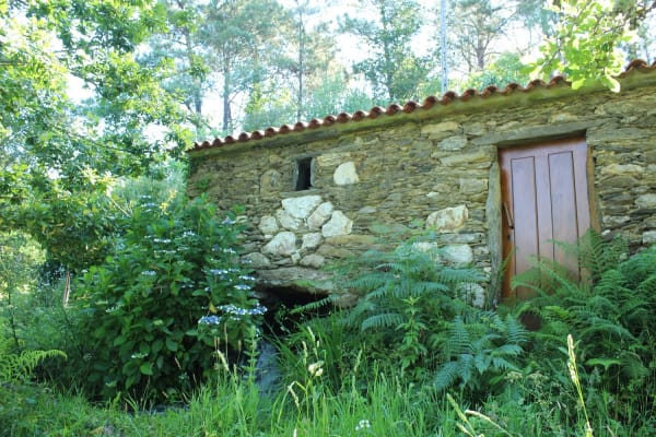 Foto 66 da atividade Galeria de Fotos