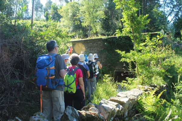 Foto 59 da atividade Galeria de Fotos