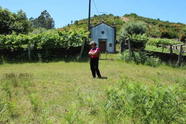 Foto 43 da atividade Galeria de Fotos