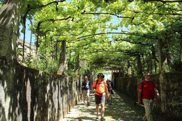 Foto 38 da atividade Galeria de Fotos