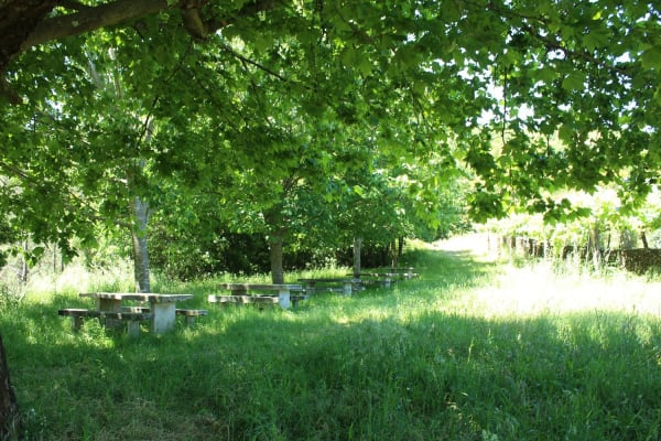 Foto 35 da atividade Galeria de Fotos