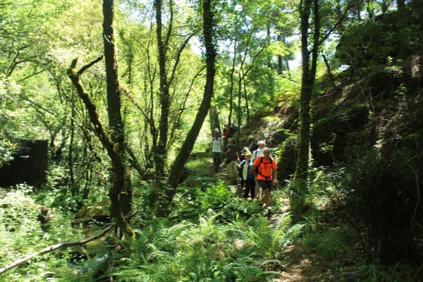 Foto 20 da atividade Galeria de Fotos