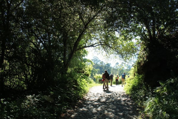 Foto 11 da atividade Galeria de Fotos