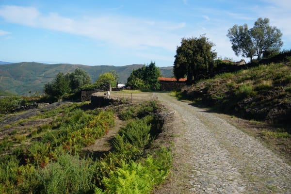 Foto 70 da atividade Galeria de Fotos