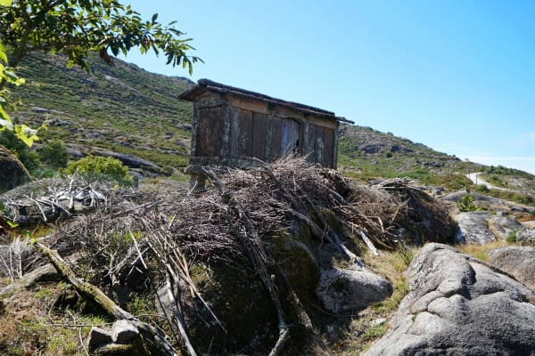 Foto 60 da atividade Galeria de Fotos