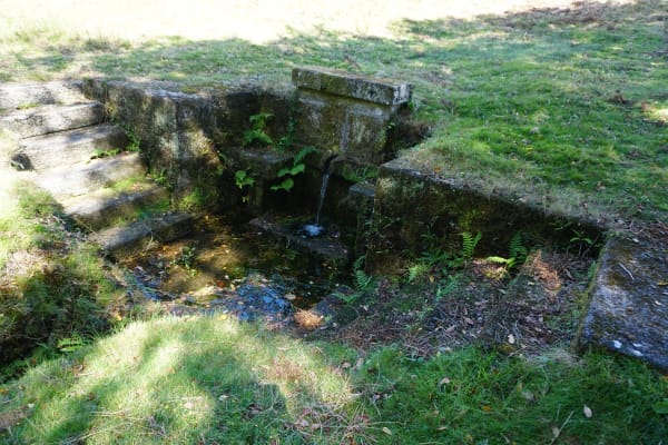 Foto 53 da atividade Galeria de Fotos