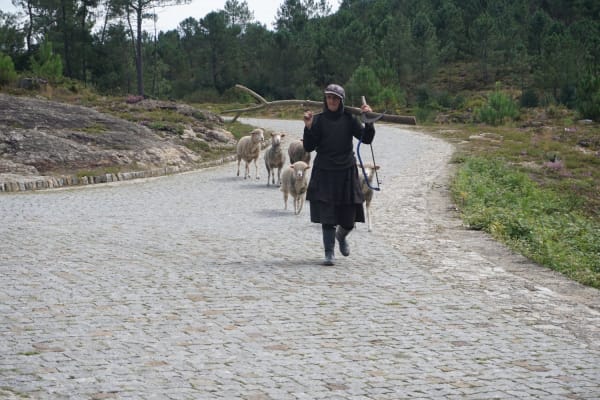 Foto 20 da atividade Galeria de Fotos