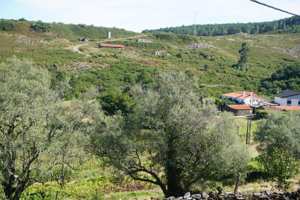 Foto 12 da atividade Galeria de Fotos