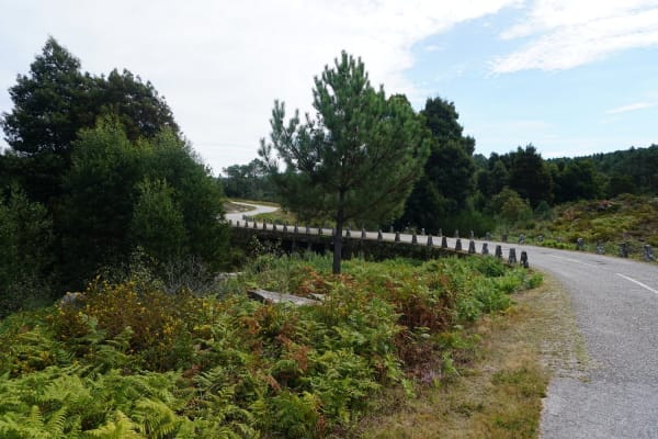 Foto 2 da atividade Galeria de Fotos