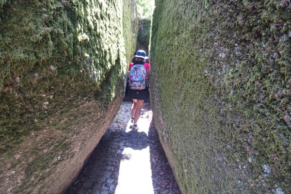 Foto 56 da atividade Galeria de Fotos