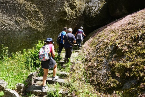 Foto 52 da atividade Galeria de Fotos