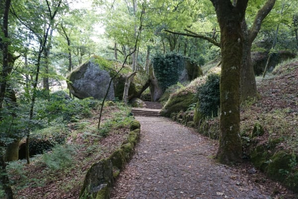 Foto 15 da atividade Galeria de Fotos