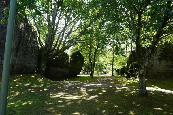 Foto 14 da atividade Galeria de Fotos