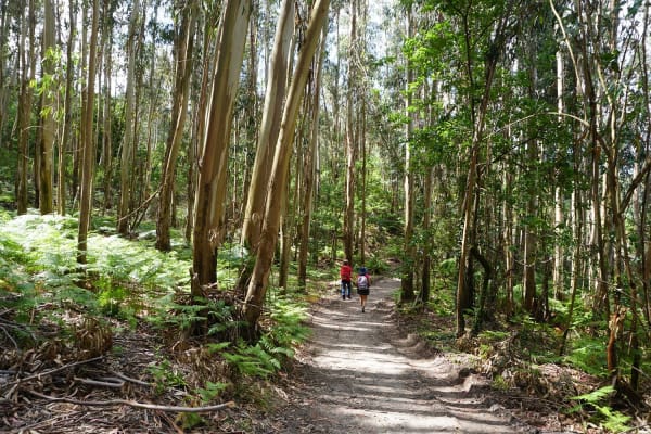 Foto 11 da atividade Galeria de Fotos