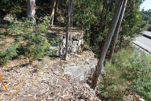 Foto 80 da atividade Galeria de Fotos