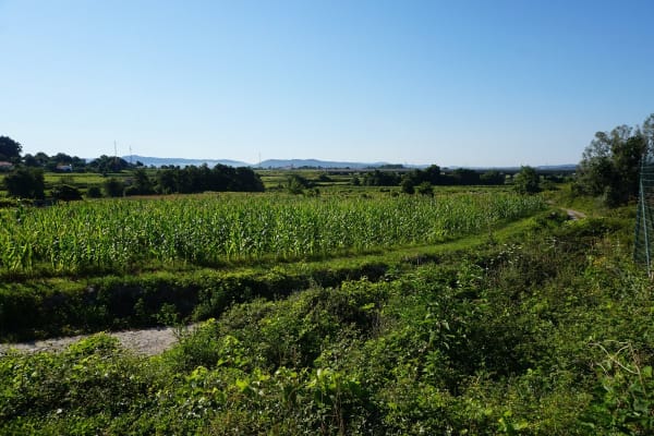 Foto 79 da atividade Galeria de Fotos