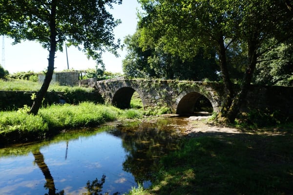 Foto 72 da atividade Galeria de Fotos