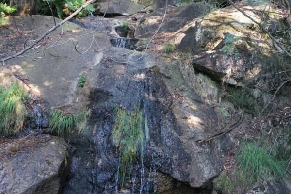 Foto 66 da atividade Galeria de Fotos