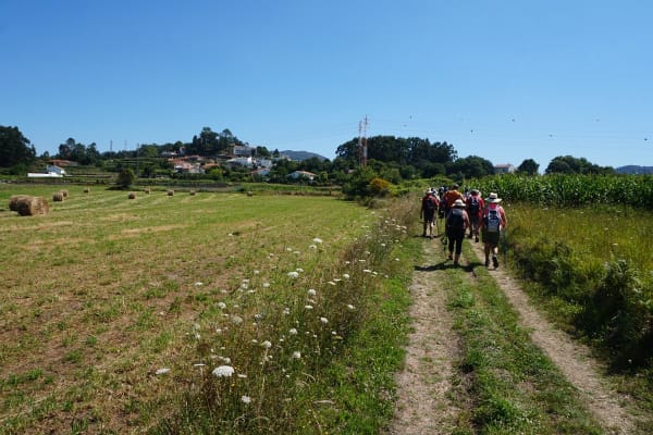 Foto 39 da atividade Galeria de Fotos