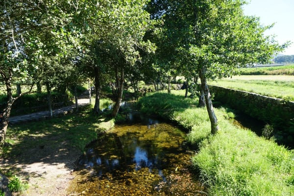 Foto 6 da atividade Galeria de Fotos