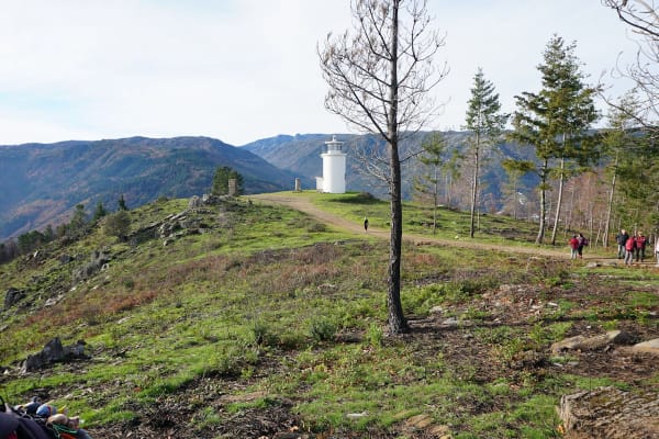 Foto 65 da atividade Galeria de Fotos