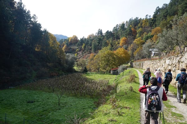 Foto 35 da atividade Galeria de Fotos