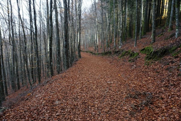 Foto 10 da atividade Galeria de Fotos