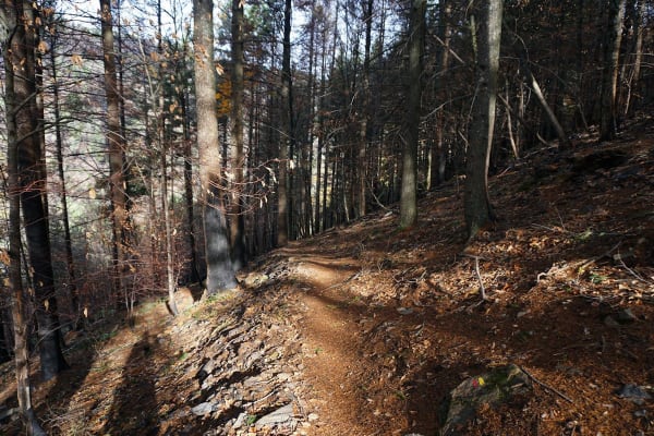 Foto 4 da atividade Galeria de Fotos