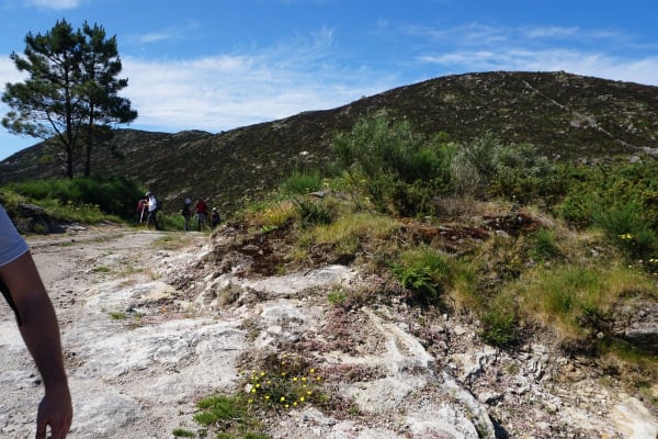 Foto 26 da atividade Galeria de Fotos