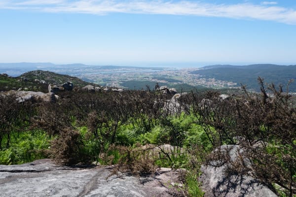 Foto 10 da atividade Galeria de Fotos