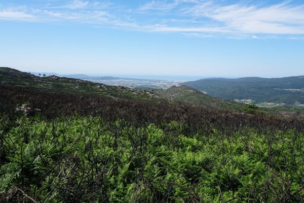 Foto 7 da atividade Galeria de Fotos