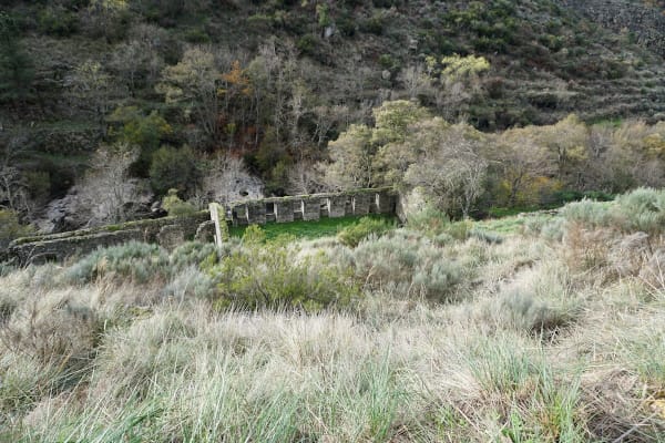 Foto 56 da atividade Galeria de Fotos