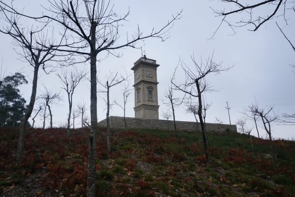 Foto 91 da atividade Galeria de Fotos