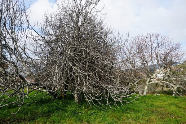 Foto 65 da atividade Galeria de Fotos