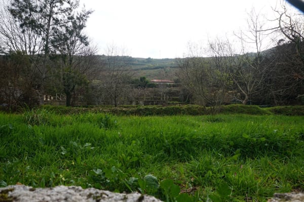 Foto 60 da atividade Galeria de Fotos