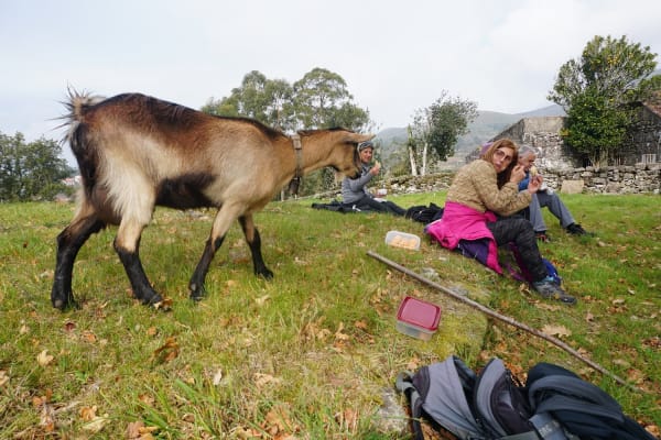 Foto 58 da atividade Galeria de Fotos