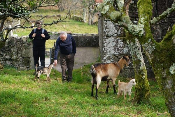 Foto 54 da atividade Galeria de Fotos