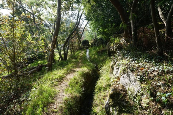 Foto 39 da atividade Galeria de Fotos