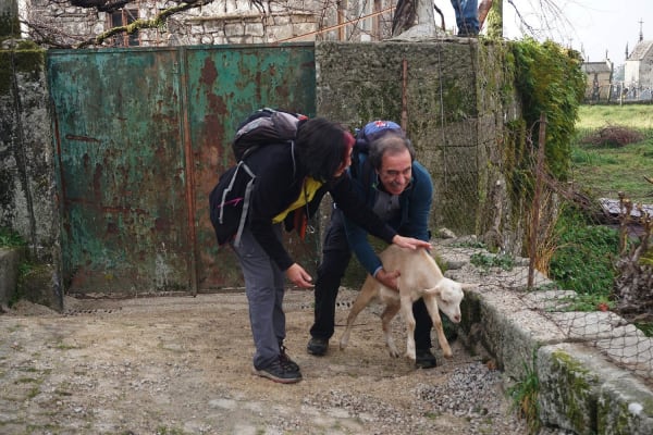 Foto 13 da atividade Galeria de Fotos