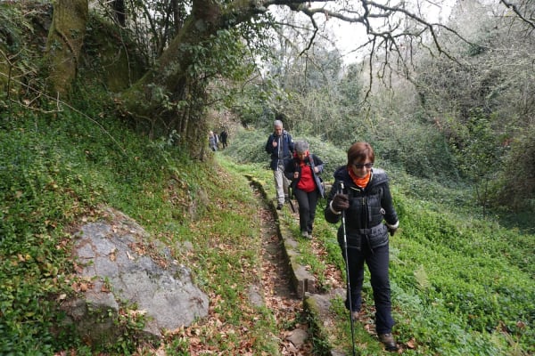 Foto 10 da atividade Galeria de Fotos