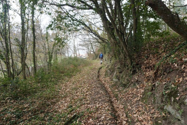 Foto 9 da atividade Galeria de Fotos