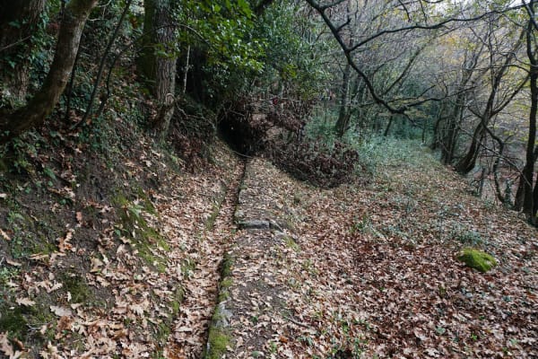 Foto 6 da atividade Galeria de Fotos