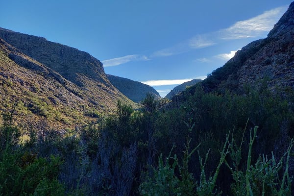 Foto 37 da atividade Galeria de Fotos