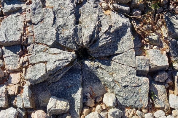 Foto 35 da atividade Galeria de Fotos