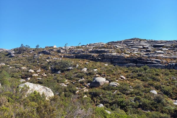 Foto 31 da atividade Galeria de Fotos