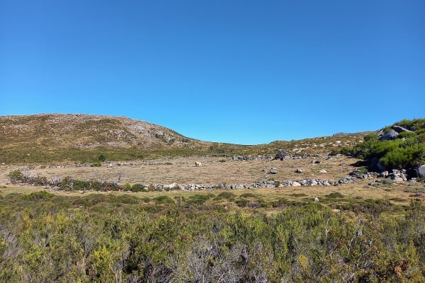 Foto 28 da atividade Galeria de Fotos